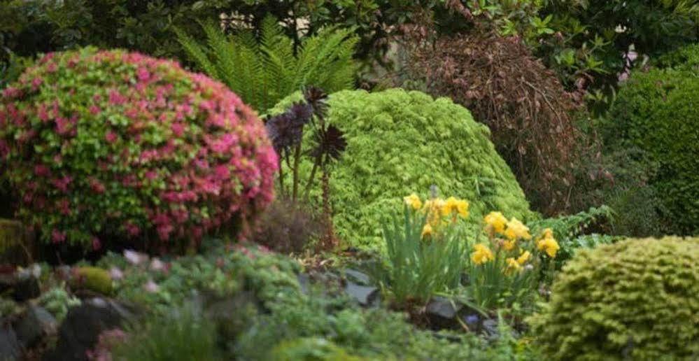 Beechmont Garden Retreat Vendégház Olinda Kültér fotó