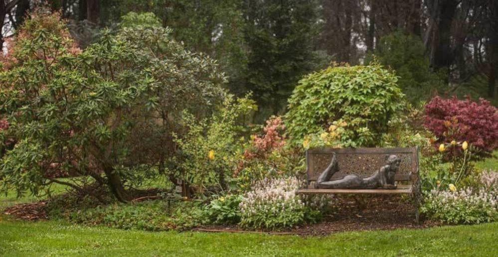 Beechmont Garden Retreat Vendégház Olinda Kültér fotó
