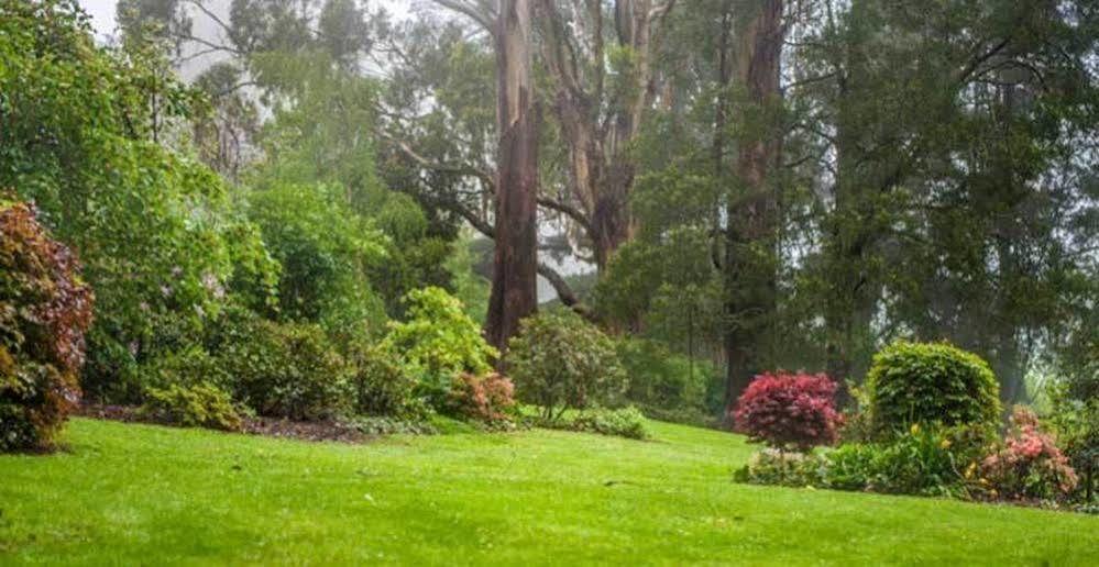Beechmont Garden Retreat Vendégház Olinda Kültér fotó
