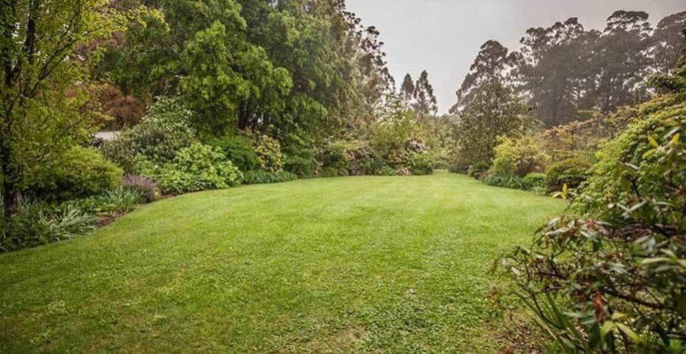 Beechmont Garden Retreat Vendégház Olinda Kültér fotó