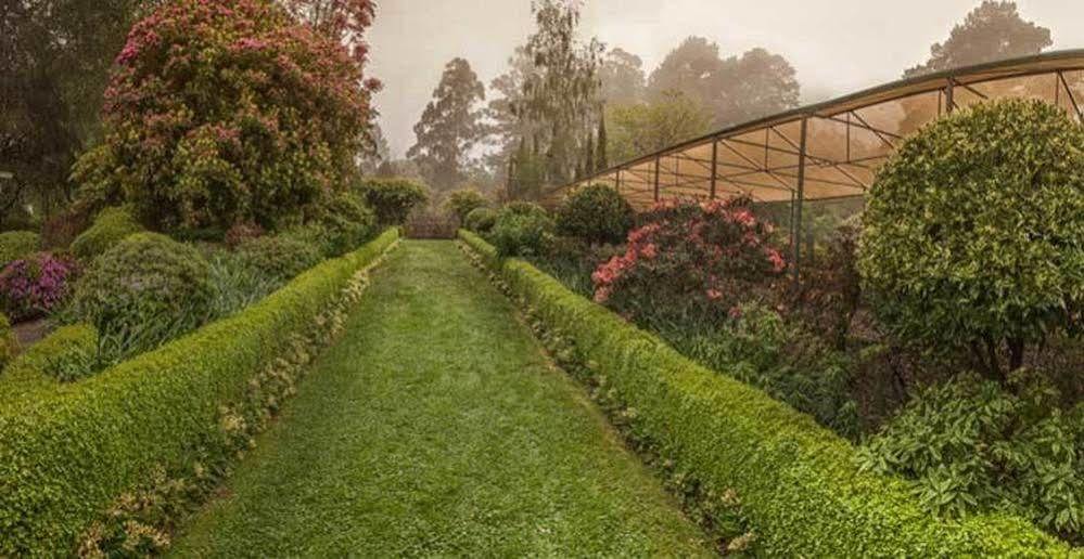 Beechmont Garden Retreat Vendégház Olinda Kültér fotó