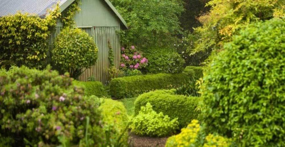 Beechmont Garden Retreat Vendégház Olinda Kültér fotó