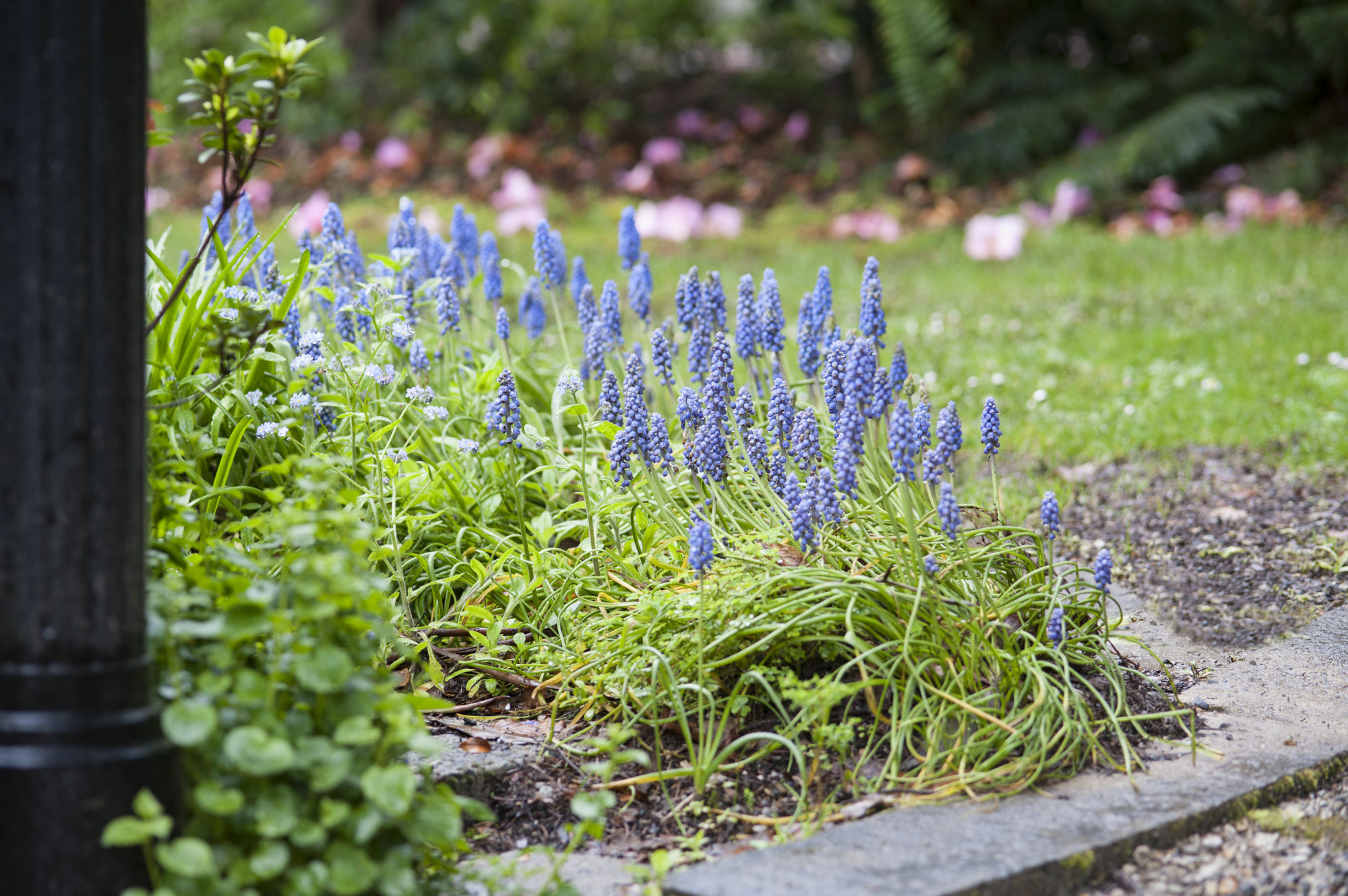 Beechmont Garden Retreat Vendégház Olinda Kültér fotó